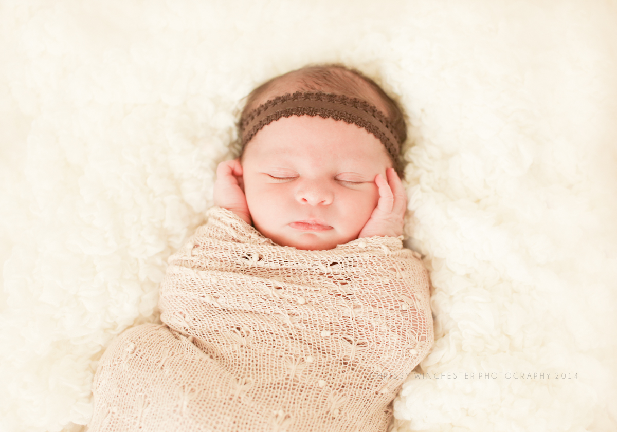 Charlotte Newborn Photographer