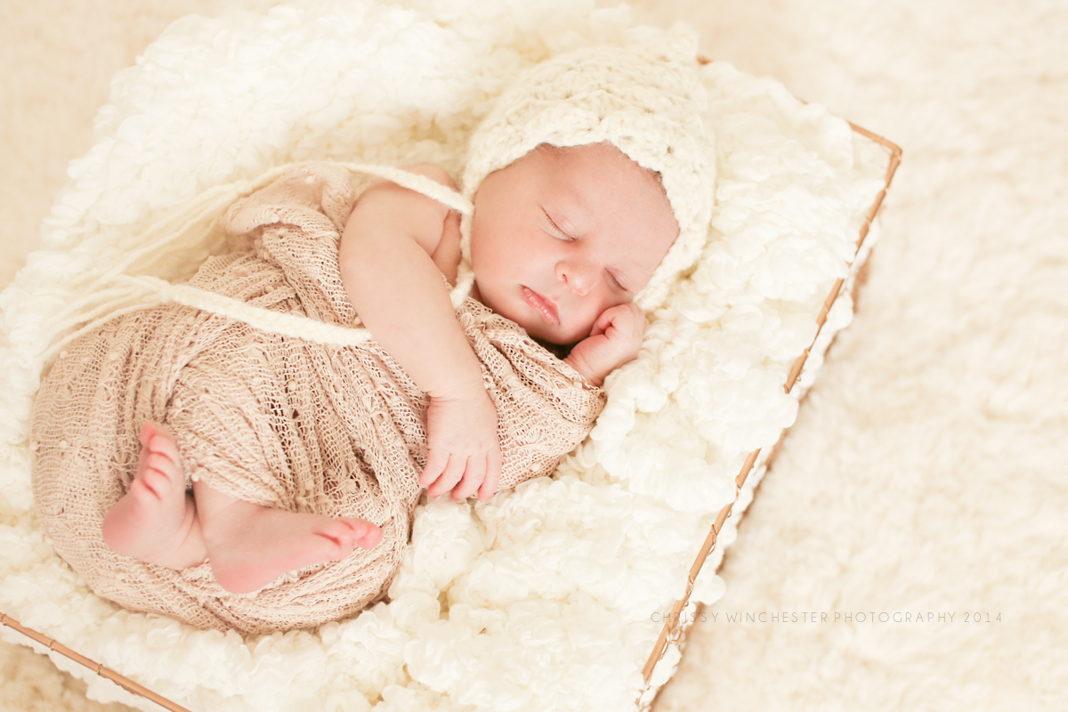 Charlotte Newborn Photographer