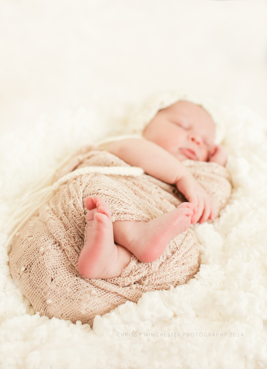 Charlotte Newborn Photographer