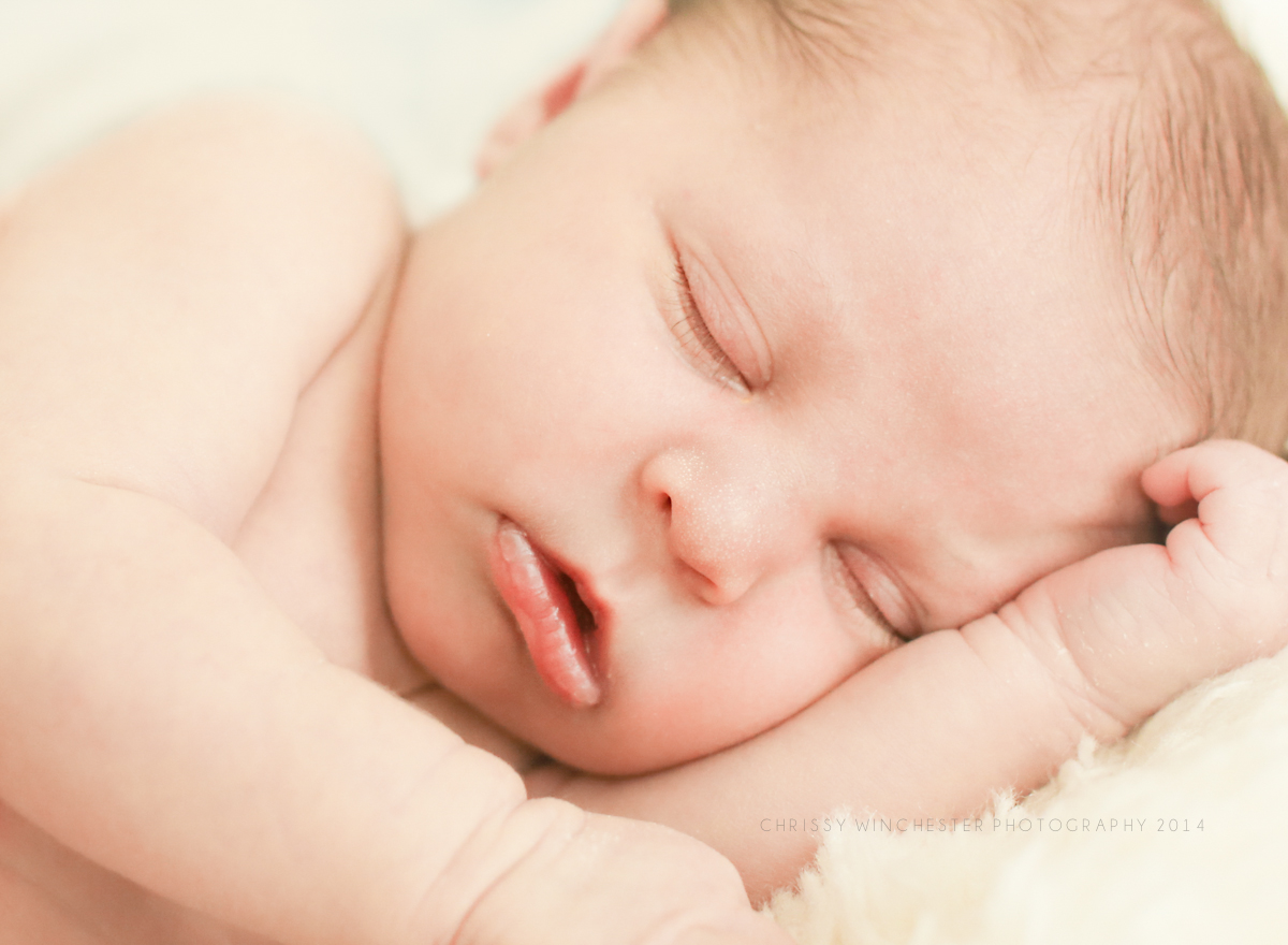 Charlotte Newborn Photographer