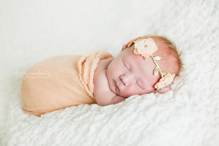 Lake Norman Newborn Photographer