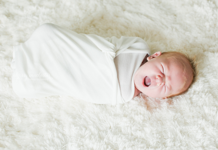 Lake Norman Newborn Photographer