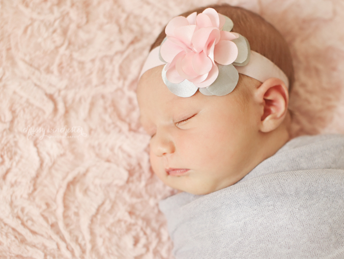 Concord Newborn Photographer