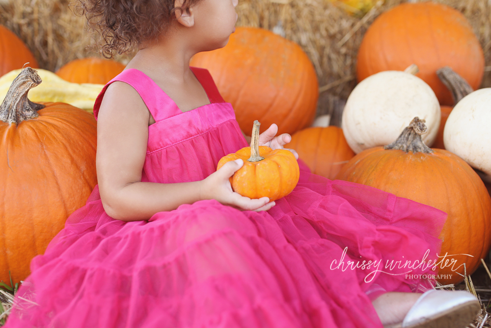 Fall Pumpkin Child Photographer